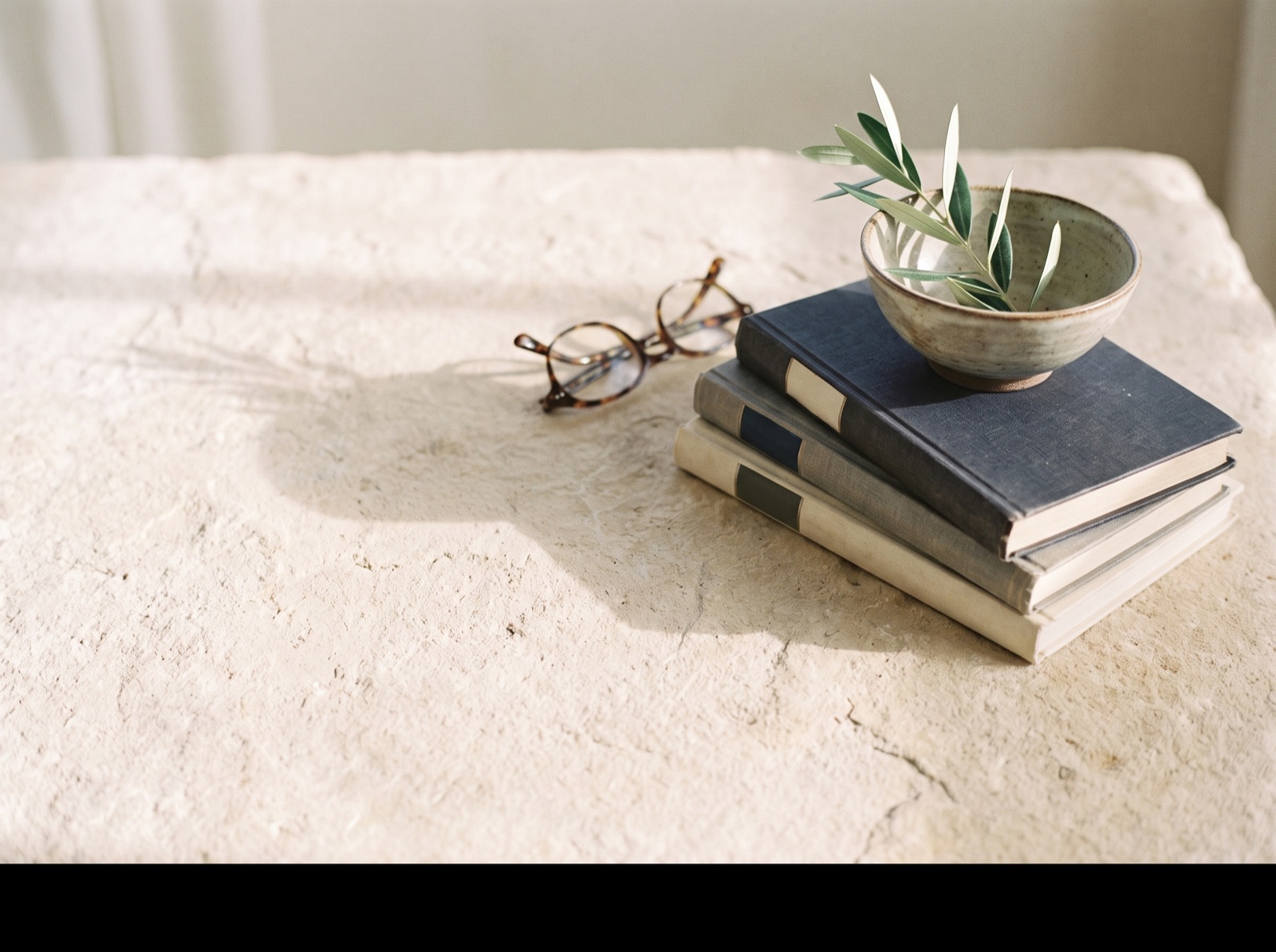 Books, glasses and olive leaves on a stone surface